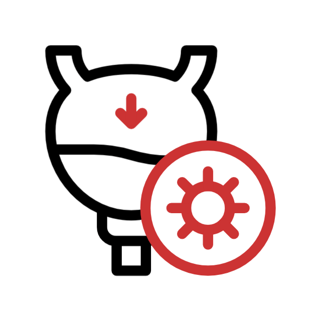 Animated icon representing urology department