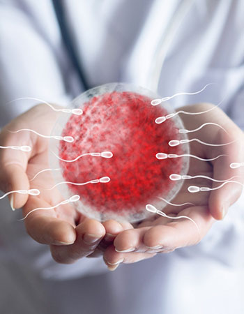 Fertility Specialist in Guntur